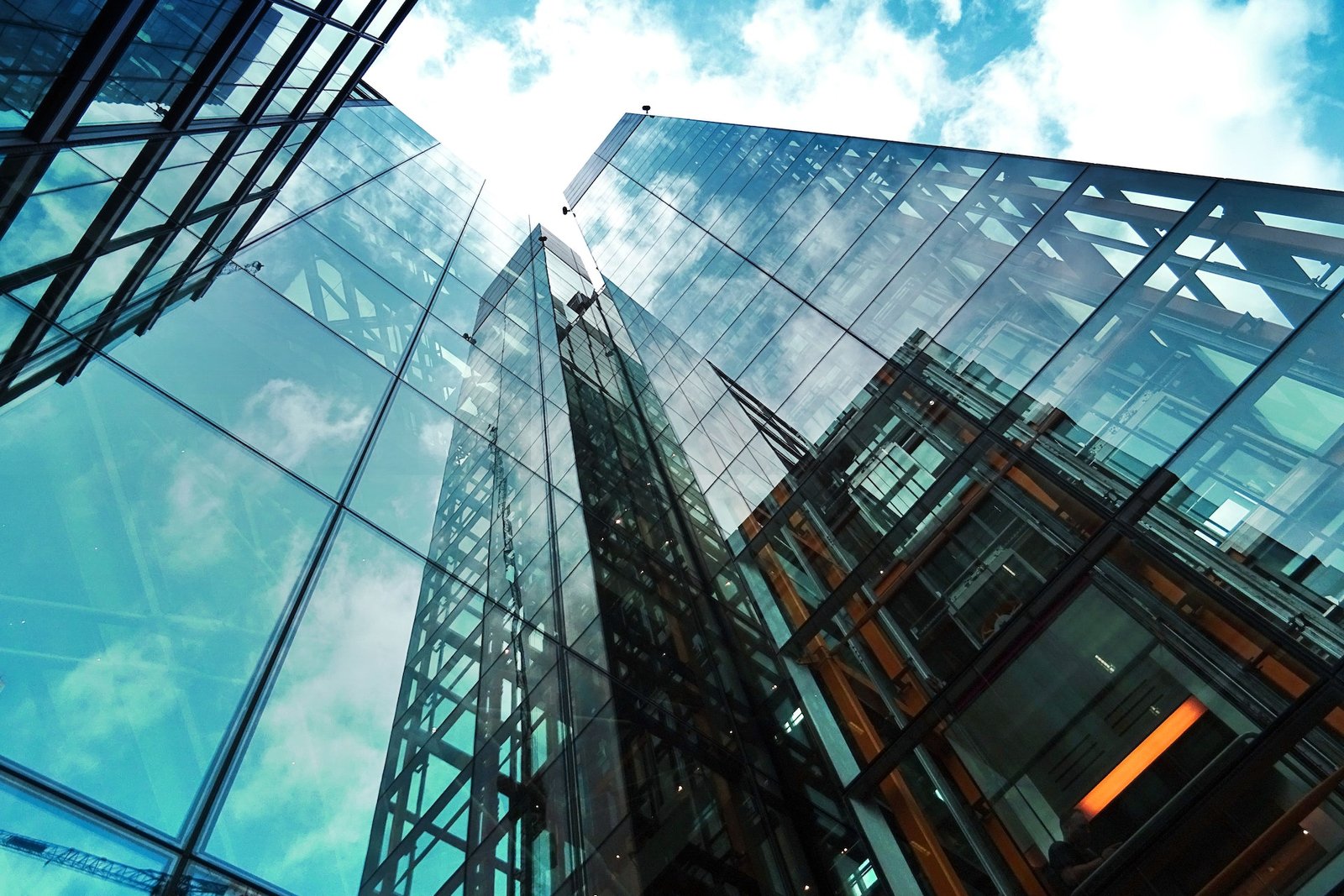 Company Law